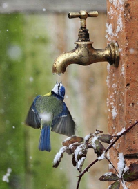 Kan tu as soif en hiver