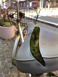 stop le vélo, une forêt retrouvée !