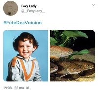 tweet "fêtes des voisins" de mauvais goût