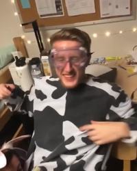 Messieurs, déguisez-vous en vache