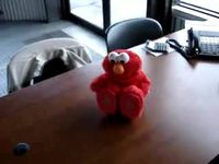 Elmo est mort de rire