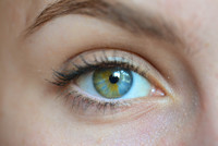 Avez-vous les yeux vairons ?