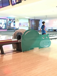 Hippopotame au bowling