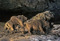 Bisons de la grotte du Tuc d'Audoubert