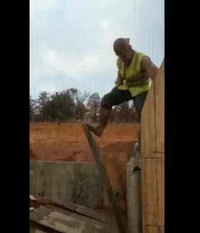 Abattage de palissade