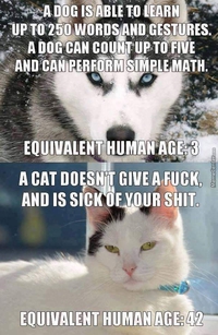 Comparaison