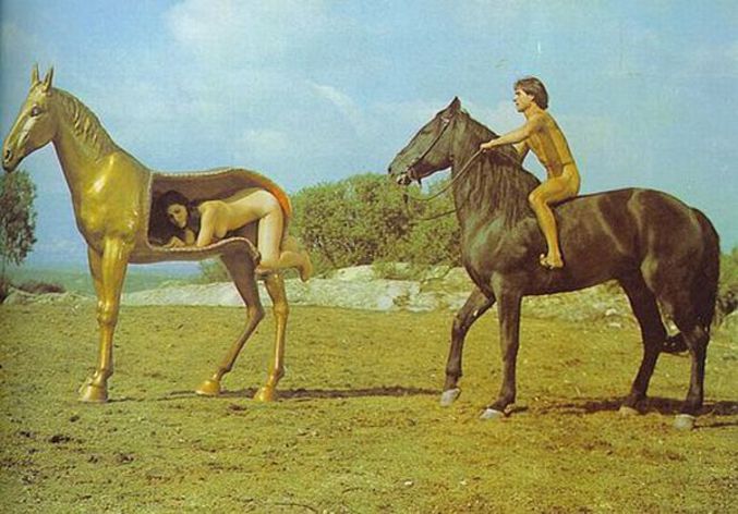 Картинки связанные с лошадьми (31 фото) / Приколы.