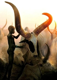 Dinka Boy with Namesake Ox
