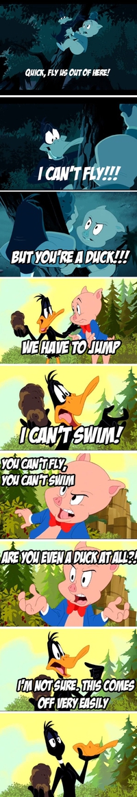 Daffy Duck est-il un canard ? vous avez une heure...