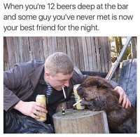 Kan t'en es à 12 bières