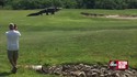 Journée ordinaire en Floride sur un terrain de golf