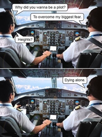 -- Pourquoi as-tu voulu être pilote ,