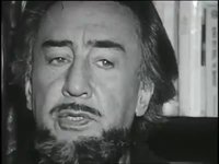 La connerie