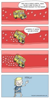 Le bus magique en balade