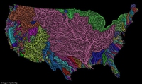 Les Etats Unis ressemblent à un cerveau