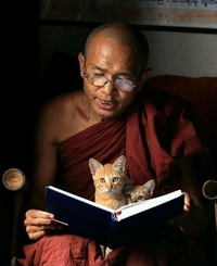 Les belles histoires de tonton Thiche