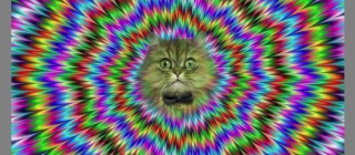 illusion