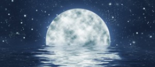 bonnenuit