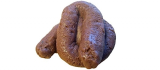 caca