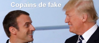 fake-news