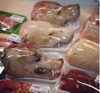 Manger du chien