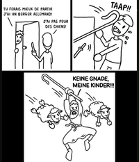 Un berger allemand 
