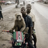 Un lombrik célèbre avec 2 amis africains