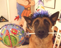 Fêter l'anniversaire de son chien
