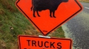 Dis camion
