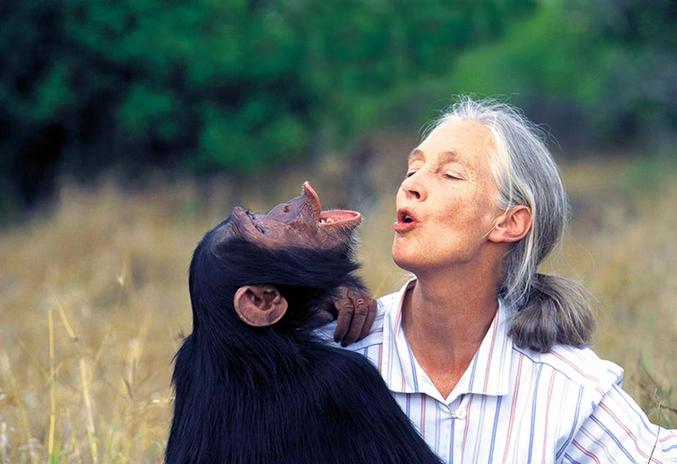 Mmmmmh... pas de blague, alors une citation : "Une espèce qui disparaît, c'est un trou dans la tapisserie du vivant. Chaque nouveau trou affaiblit l'écosystème."