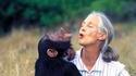 RIP Jane