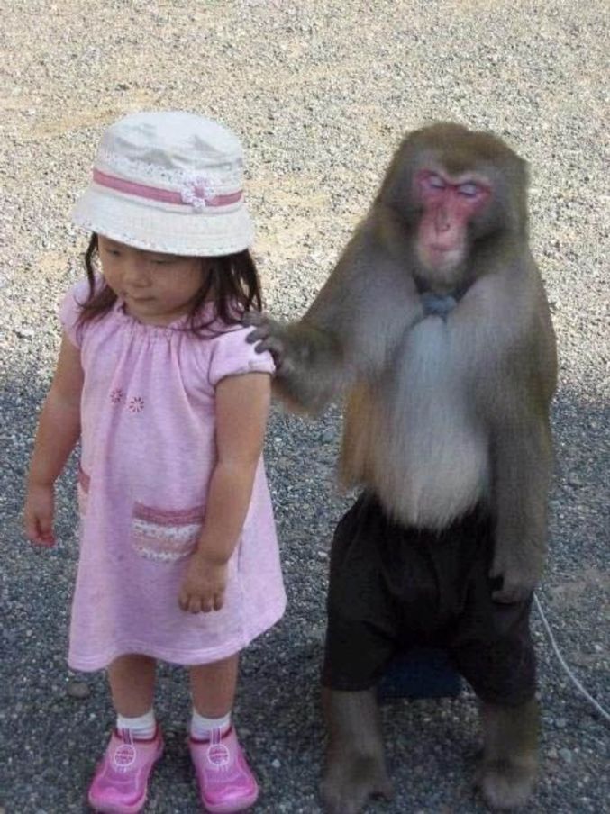 Un singe et sa pote.