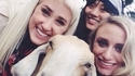 Selfie au mouton