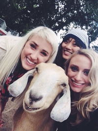 Selfie au mouton