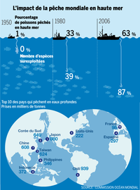 Evolution et impact de la pêche mondiale en haute mer