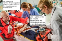 Urgence absolue