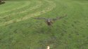 Slow motion trop chouette
