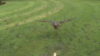 Slow motion trop chouette