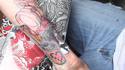 Tatouage stop-motion 