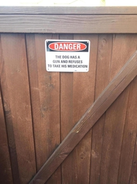 DANGER : Le chien a un flingue...