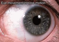 Les yeux en slow-motion