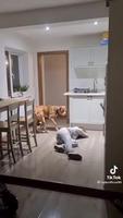 Simuler un malaise 