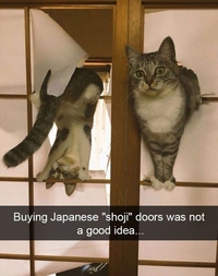 Si vous installez des portes japonaises chez vous