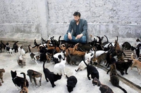 Arthur Miller a écrit "Ils étaient tous mes fils"