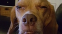 "You gotta be fucking kidding. "