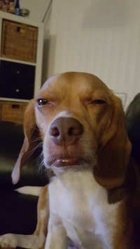 "You gotta be fucking kidding. "