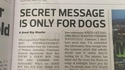 Message secret pour les chiens seulement