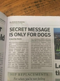 Message secret pour les chiens seulement