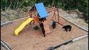 Oursons joueurs