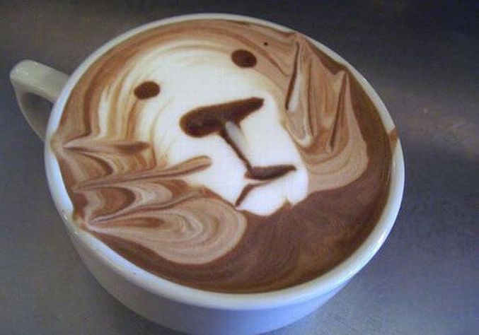 Un ours dessiné dans la crème d'un café